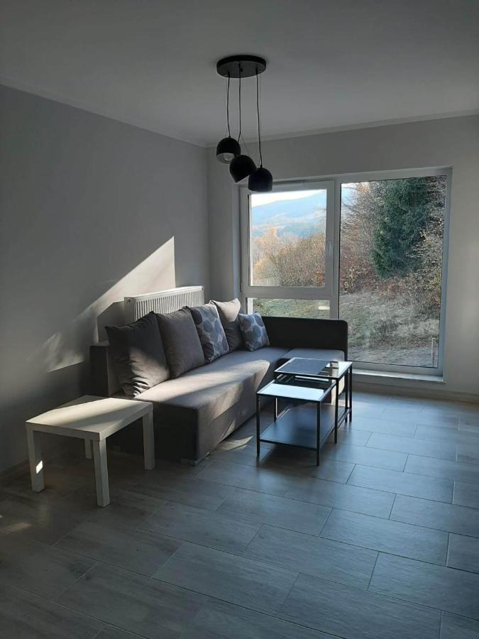 Apartament Lilu Szklarska Poreba Extérieur photo